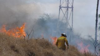 How Climate Change and Colonization Shaped the Maui Fires (Tip of the Iceberg)