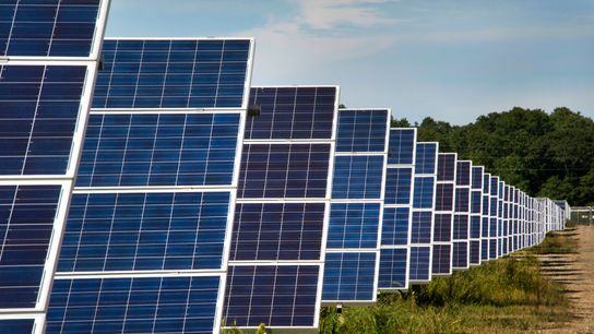 5 Restaurant-Ready Meals Found Growing Under Solar Farms (Lists)