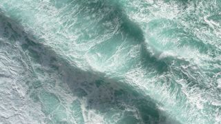 We Would Know if 90% of the Atlantic Ocean’s Plankton Were Gone (Columns)