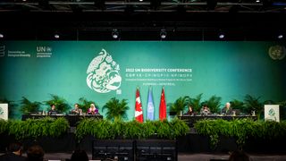 How the UN Biodiversity Conference Impacts Indigenous Communities (Columns)