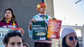 COP27's Indigenous Turnout Could Help Improve Nature-Based Solutions (Columns)