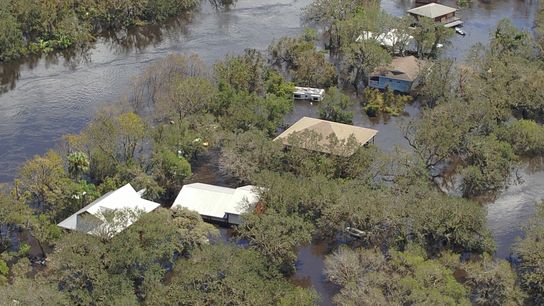 Recovery After Hurricane Ian Begins, but Climate Change Looms (News)