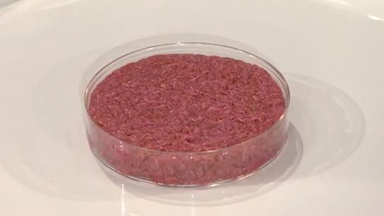 Lab-Grown Meat: Future Climate Solution or Icky Science Experiment? (Deep Dive)
