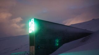 Antarctica Doomsday Vault, Containing Printouts of the World's Best Memes, Nearly Destroyed in Flood (Humor)