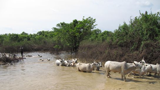 The World Has Reached Some Climate Tipping Points, But Is Fending Off Others (Tip of the Iceberg)