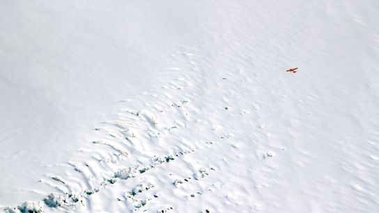 Willow Snatched the Spotlight from a Massive Climate Win (Tip of the Iceberg)