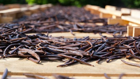 Vanilla Prices Are Already Unstable. Could Cyclones Make It Worse? (Deep Dive)