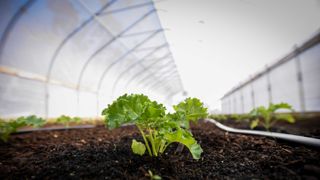 101: Why Do Greenhouse Gasses Warm the Planet? (101)