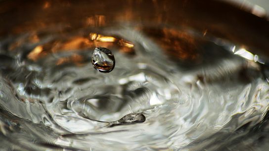 Mercury: The "Mad Hatter" Chemical Still Persists in Our Environment (Deep Dive)