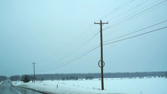 Electric poles and wires along M-32 near Gaylord, Michigan. Wanda Whiting recalls that poles like this were snapped in half during the March 2025 ice storm.