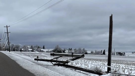 A Simple — Yet Expensive — Way to Climate-Proof the Grid: Bury the Power Lines (news)