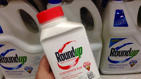 EPA's Roundup Classification Is Flawed. A Cross-Ideological Supreme Court Ruling Made It Harder to Challenge. (the pebble)