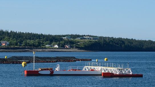 Underwater Cameras Could Help Unlock America’s Tidal Energy Industry. Photo by Gordon Leggett (CC BY-SA 4.0)