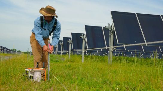 Tyler Huber takes down a rope barrier before moving his flock of sheep from one pasture to another. The sheep eat the vegetation under the solar panels, helping keep it away from the equipment and cutting down on mowing costs. Tyler Huber takes down a rope barrier before moving his flock of sheep from one pasture to another. The sheep eat the vegetation under the solar panels, helping keep it away from the equipment and cutting down on mowing costs.