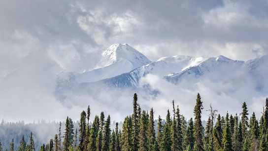 Paris Agreement Averts Half of the World’s Climate Tipping Points (news)