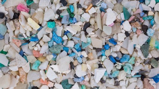 Traditional synthetic plastics don’t truly break down; they degrade into smaller and smaller pieces, known as micro- and nano plastics. These tiny plastic fragments cause myriad problems in the environment, potentially putting wildlife and human health at risk.
