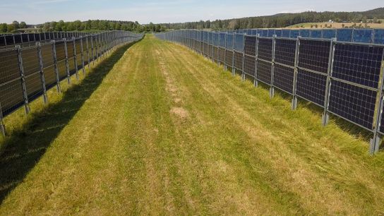 Northern Virginia Farm Tests if Solar and Agriculture Can Live in Harmony (news)