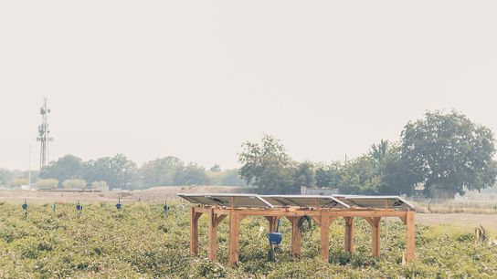 Can Farmland Thrive With Solar? This Virginia Nonprofit Is Finding Out. (news)