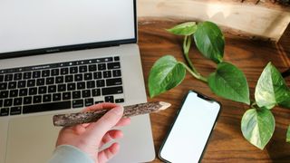 There’s a Business Case for Companies to Embrace Sustainability – If It’s Pitched the Right Way (Columns). Photo by Alisa Bright on Unsplash (CC BY 4.0)