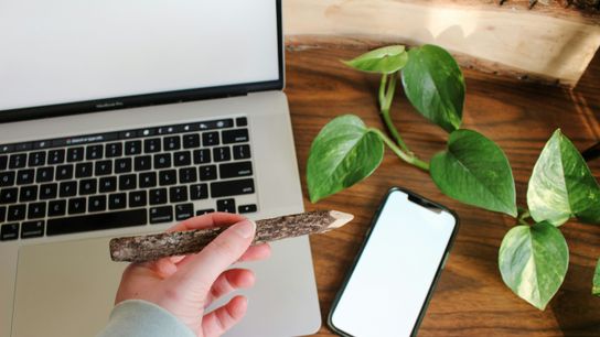 There’s a Business Case for Companies to Embrace Sustainability – If It’s Pitched the Right Way (Columns)