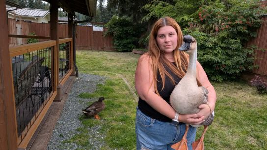 Alyssa Fischer stands in her backyard with her pets. A glacial flood destroyed part of her home. She carried her children through the icy current and put her pet duck, quail, and goose in the bed of her pickup as water rose above the wheels. 