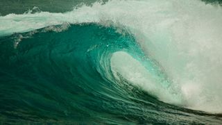 We’re Protecting the Ocean Wrong (Columns). Photo by Jason Jacobs (CC BY 2.0)