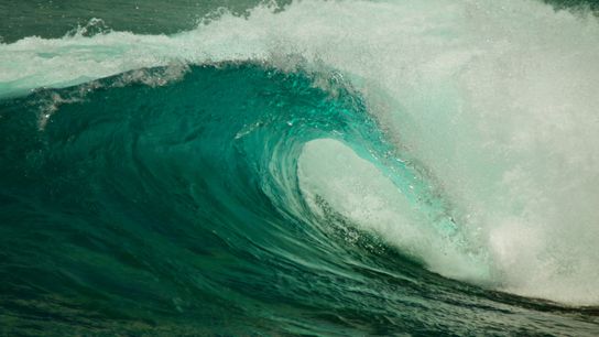 We’re Protecting the Ocean Wrong (Columns)