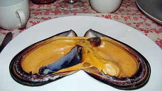 How Indigenous Chilean Communities Rescued a Critical Mussel Species (news). Photo by Dick Culbert (CC BY 2.0)