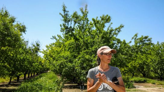 Farmer Christine Gemperle stands in her almond orchard.