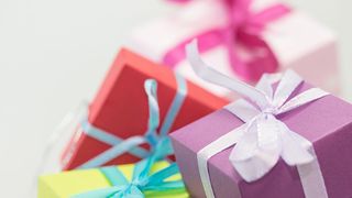 Give the Gift of The Pebble This Holiday Season (the pebble)