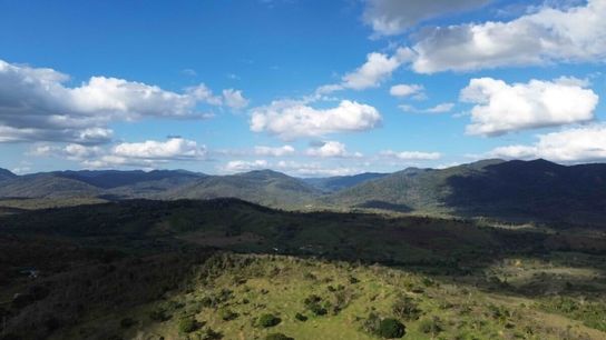 Aerial view of the Caramuru-Paraguassu Indigenous Territory in Brazil’s northeastern Bahia state. Although the territory was officially recognized in 1926, it was illegally occupied by cattle ranchers for decades, which changed its climate, soil and forest characteristics.