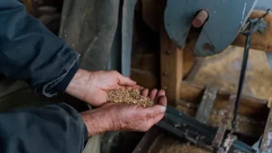 Gosar shows the process from harvested grain to flour, revealing the byproducts of chaff and the rocks that are caught up when the grain is harvested.