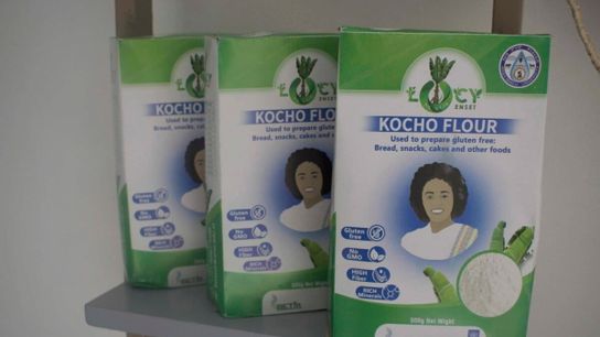 As part of efforts to mainstream enset and expand its appeal beyond traditional regions, innovators are developing commercial products like this packaged kocho flour, positioning it as a gluten-free, high-fiber option for urban consumers and wider markets.
