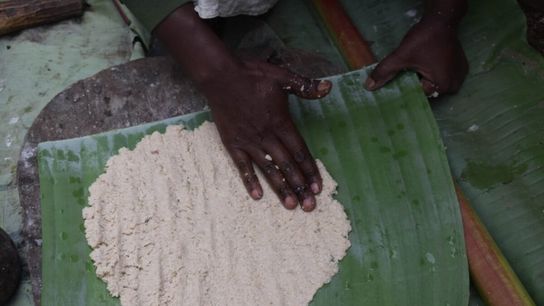 Freshly fermented enset pulp is shaped on banana leaves to prepare kocho, a staple flatbread that reflects generations of Indigenous culinary practice.