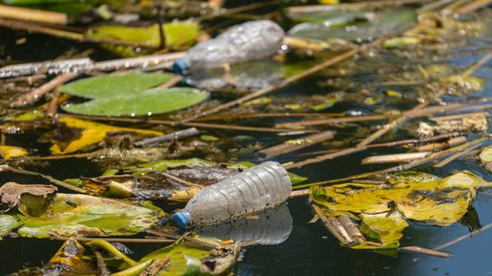 Rutgers Chemists Invent Self-Destructing Plastic. Photo by engin akyurt via Unsplash