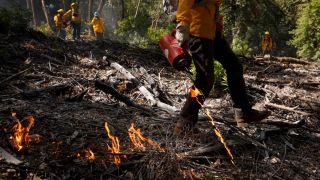 How Controlled Burns Can Help Save Taxpayers Billions (news). Photo by Justin Sullivan / Getty Images via Grist
