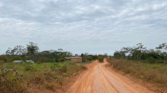 A dirt road leading to Antonio Cardozo’s property outside the town of Iñapari.