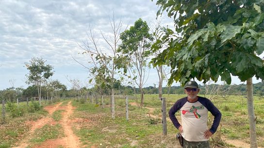 Antonio Cardozo stands near a fence lined with recently planted native trees.