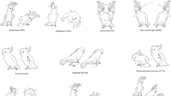 Illustration of the 10 most common recorded dance movements.