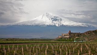 How Armenia’s Unique Vineyards Are Revitalizing Wine Culture and Ecosystems (news). Photo by Maks Karochkin (CC BY 2.0)