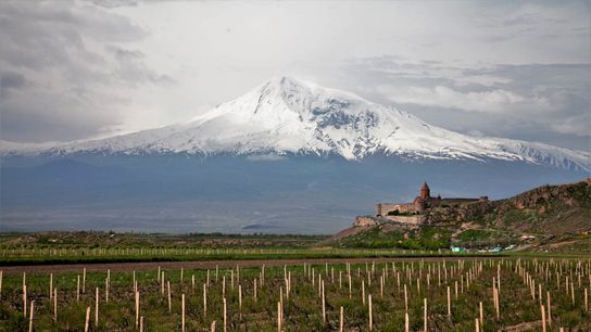 How Armenia’s Unique Vineyards Are Revitalizing Wine Culture and Ecosystems. Photo by Maks Karochkin (CC BY 2.0)