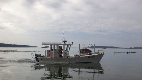 Meet the Small Business Owners Electrifying Maine’s Rural Coast (news)