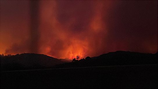 East Mediterranean Wildfires Made 22% More Intense Due to Climate Change (news)