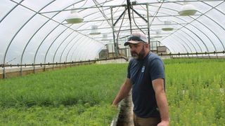 In Missoula, DNRC Grows a Million Native Plants (news). Photo by Jordan Hansen/Daily Montanan
