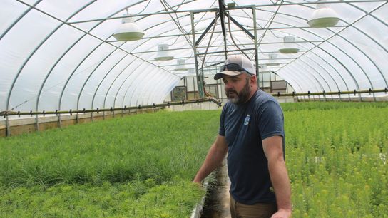 In Missoula, DNRC Grows a Million Native Plants (news)
