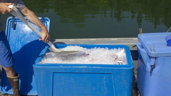 In the summer, oyster farmers use ice to keep their product at low temperatures. At Maine Ocean Farms, Leathers and his crew can load up to 3,500 pounds of oysters and ice in containers onto their electric boat, Heron.