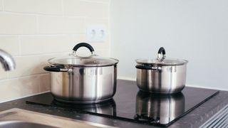 Can This New Induction Stove Help Fuel the Transition to Clean Cooking? (news)