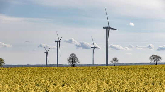 This Spring, Clean Energy in the US Set Record After Record (news)