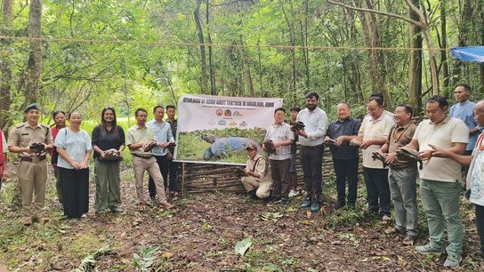 At the release event of the critically endangered Asian Giant Tortoises in the Old Jalukie Community Reserve last August. At the release event of the critically endangered Asian Giant Tortoises in the Old Jalukie Community Reserve last August.