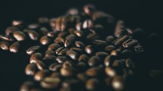 Agroforestry E-Library Aims to Inform Climate-Threatened Coffee Growers (news). Photo by A S M Jobaer (CC BY-SA 4.0)